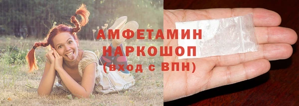 шишки Беломорск
