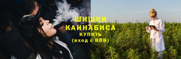 шишки Беломорск