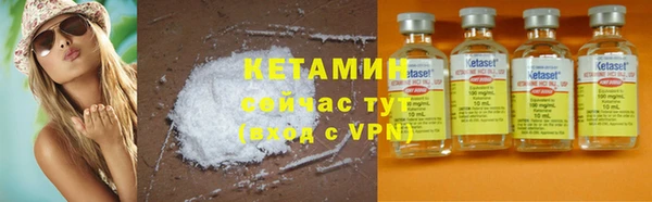 шишки Беломорск