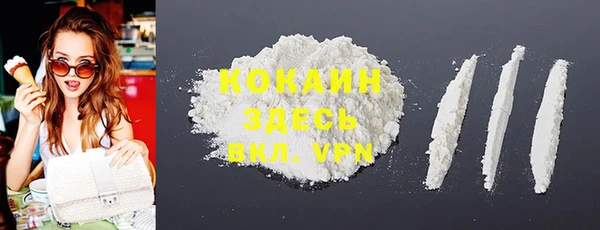 шишки Беломорск