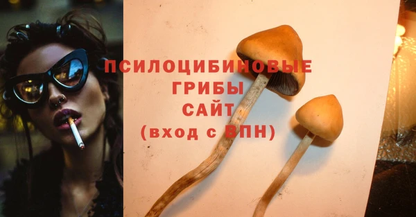 амф Белокуриха