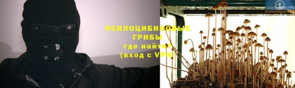 амф Белокуриха