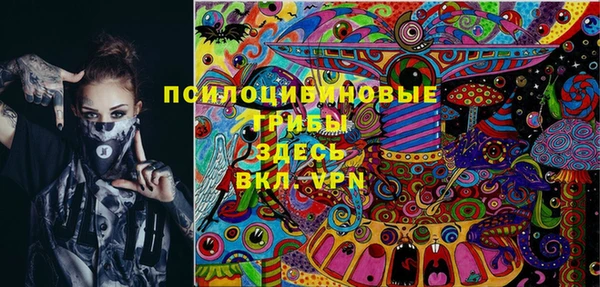амф Белокуриха
