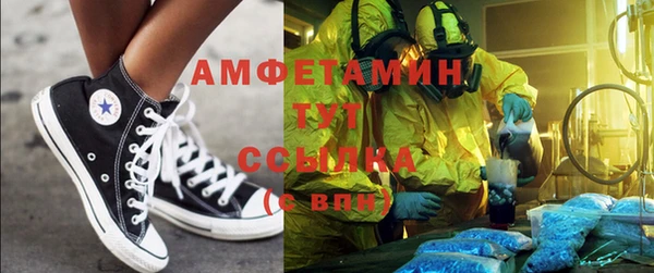 шишки Беломорск