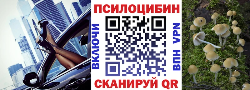 Псилоцибиновые грибы GOLDEN TEACHER Свободный